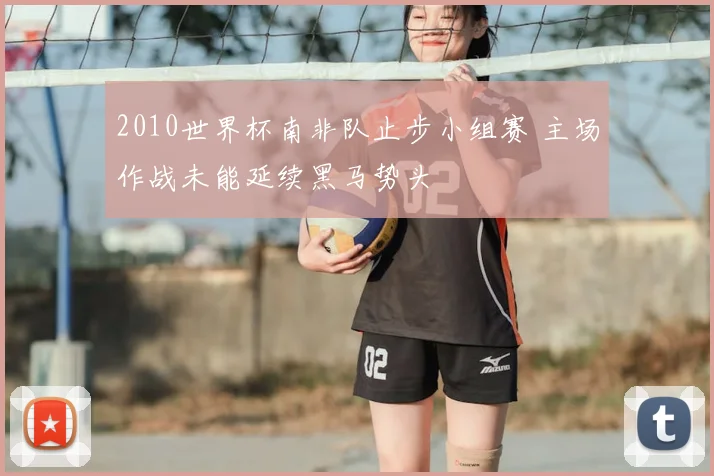 2010世界杯南非队止步小组赛 主场作战未能延续黑马势头